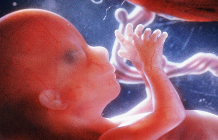 My Story About A Girl Considering Abortion