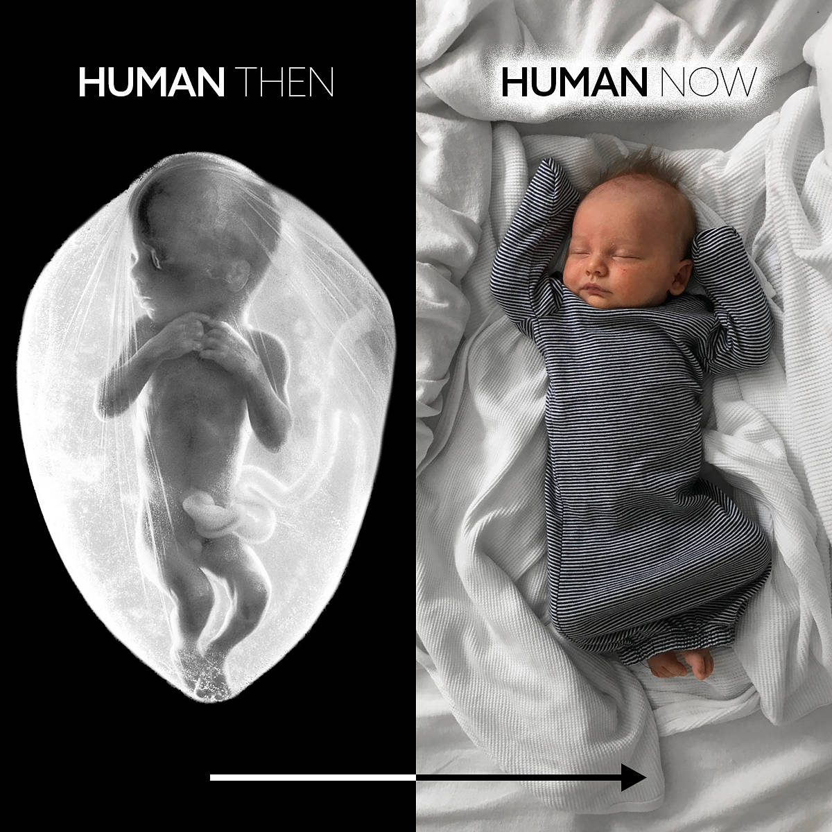 Human Then, Human Now